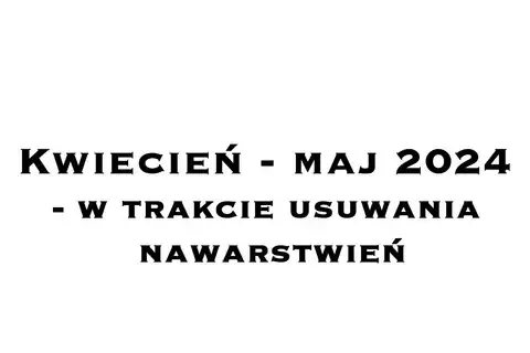 2024.IV-V – Renowacja portalu do kaplicy Promnitzów – usuwanie nawarstwień – zdjęcie 1