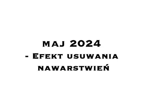 2024.IV-V – Renowacja portalu do kaplicy Promnitzów – usuwanie nawarstwień – zdjęcie 50