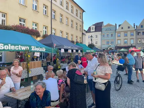 2025.09.21 – Dożynki parafialne „Miasto dziękuje Wsi” – zdjęcie 59