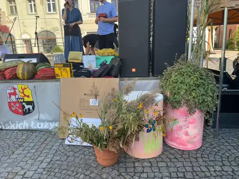 2025.09.21 – Dożynki parafialne „Miasto dziękuje Wsi” – zdjęcie 84