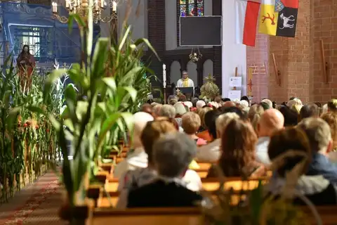 2025.09.21 – Dożynki parafialne „Miasto dziękuje Wsi” – zdjęcie 107