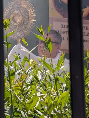 2026.06.04 – Boże Ciało – zdjęcie 24