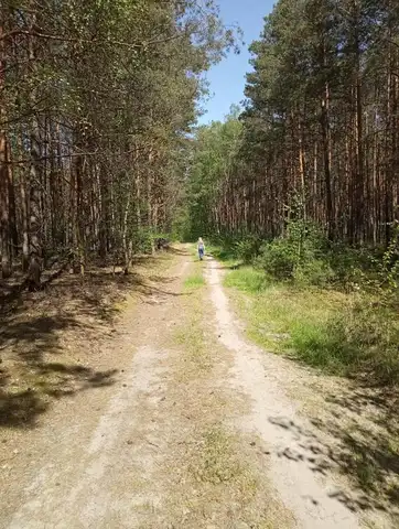 2022.05.15 – Modlitwa za Ojczyznę, dzieci i młodzież przy leśnej kapliczce – zdjęcie 12