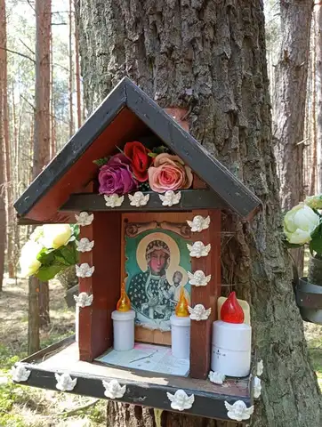 2022.05.15 – Modlitwa za Ojczyznę, dzieci i młodzież przy leśnej kapliczce – zdjęcie 34