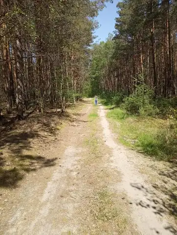 2022.05.15 – Modlitwa za Ojczyznę, dzieci i młodzież przy leśnej kapliczce – zdjęcie 11