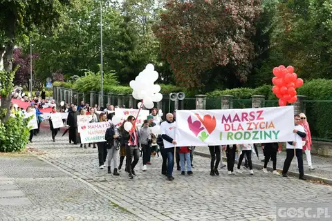 2022.09.18 – Marsz dla Życia i Rodziny – zdjęcie 151