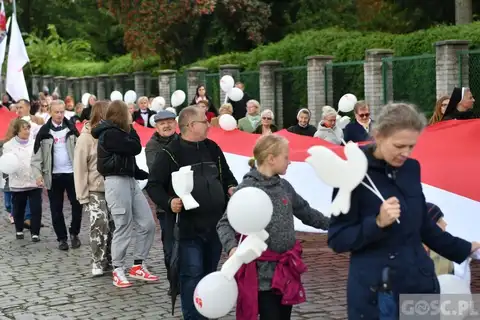 2022.09.18 – Marsz dla Życia i Rodziny – zdjęcie 147