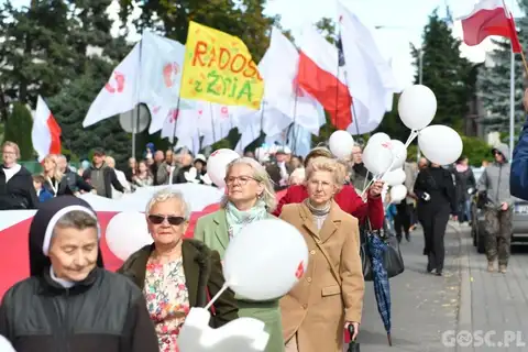 2022.09.18 – Marsz dla Życia i Rodziny – zdjęcie 160