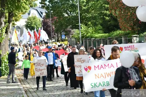 2022.09.18 – Marsz dla Życia i Rodziny – zdjęcie 148