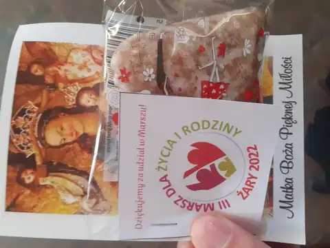2022.09.18 – Marsz dla Życia i Rodziny – zdjęcie 17